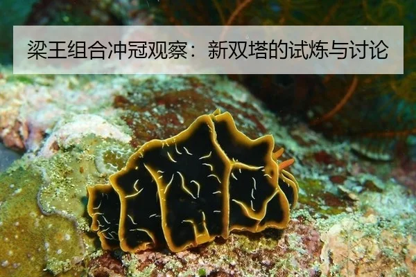 梁王组合冲冠观察：新双塔的试炼与讨论